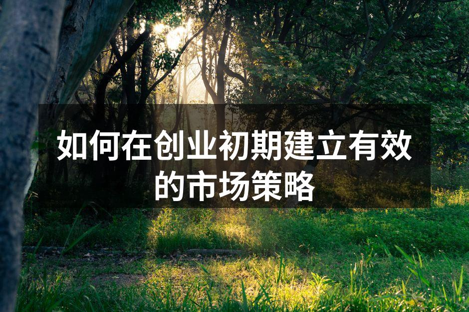 如何在创业初期建立有效的市场策略